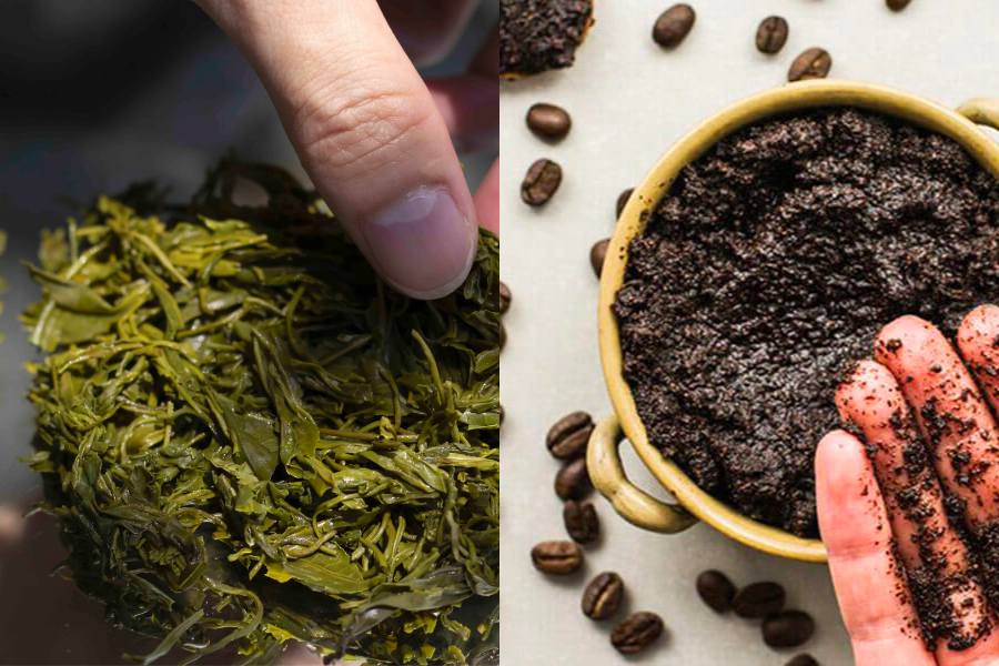 Hương thơm từ trà và cà phê sẽ giúp bạn loại bỏ mùi ẩm mốc khó chịu
