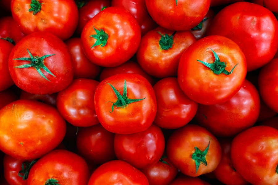 Vùi cà chua vào tro sẽ bảo quản được lâu hơn