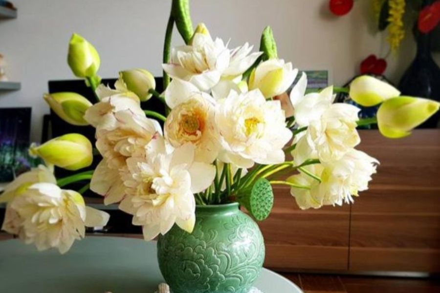 Cắm hoa sen cùng thiết mộc lan là sự kết hợp hoàn hảo, tạo nên một bình hoa nhẹ nhàng nhưng không kém phần sang trọng.