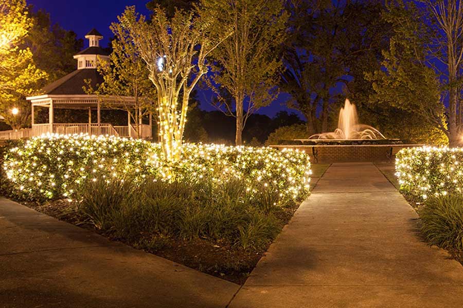 Dây đèn trang trí cây bụi sẽ giúp cả khu vườn bừng sáng
