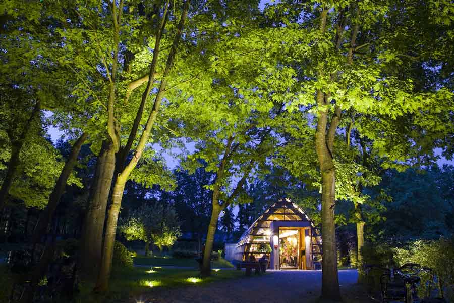 Đèn pha phù hợp trang trí đèn sân vườn với những thân cây lớn