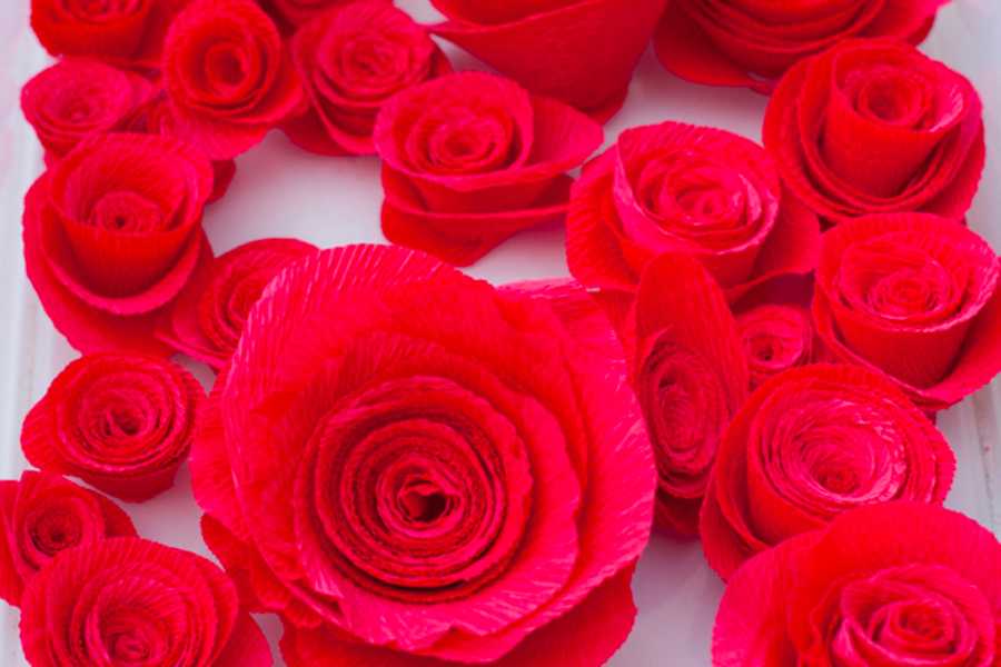 Sửa chữa hoa tránh tình trạng bị bẹp, rách cách làm hoa giấy trang trí tường