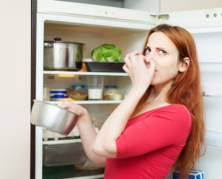 cách khử mùi hôi trong tủ lạnh