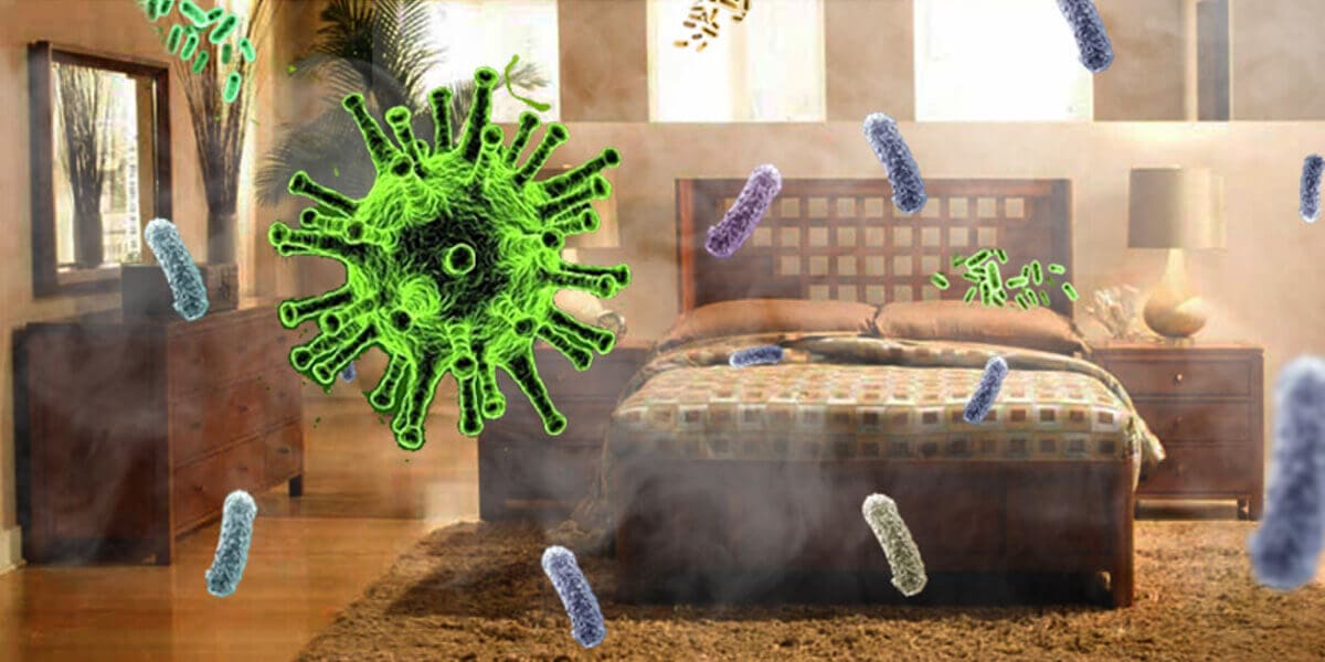 vi khuẩn trong nhà