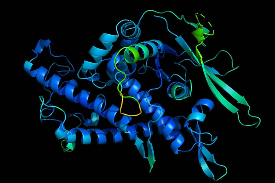 Cấu trúc protein