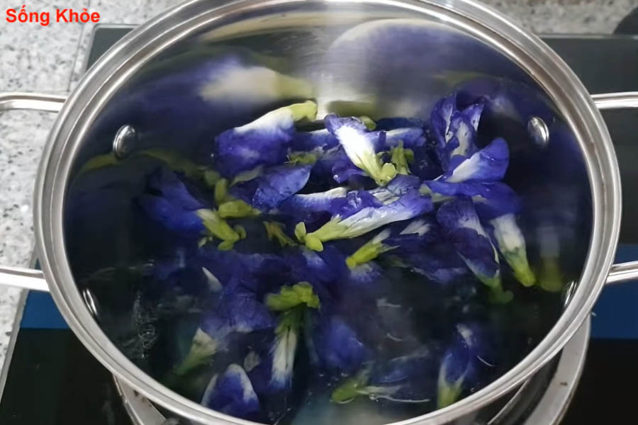 Luộc hoa đậu biết để lấy nước màu