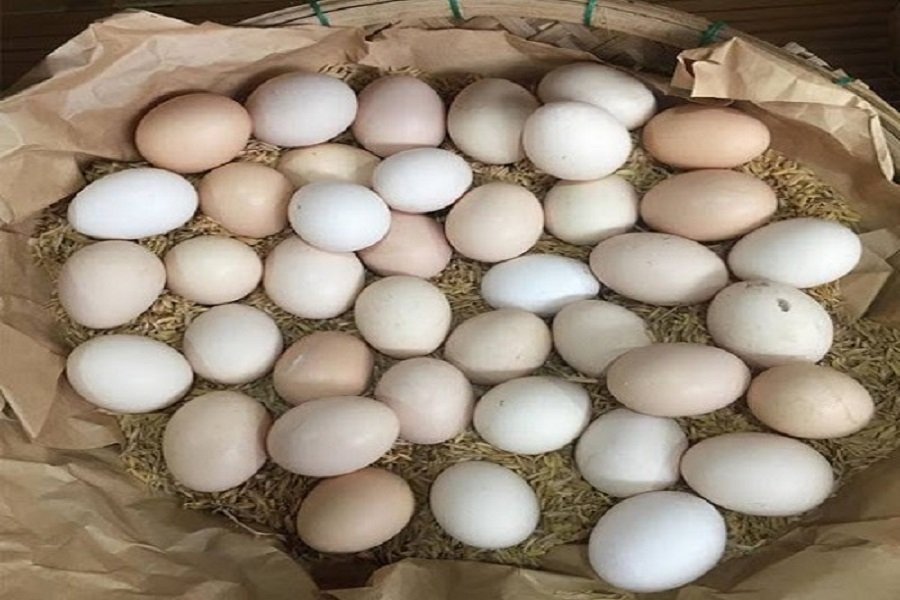 Trứng được xếp với vỏ trấu để bảo quản