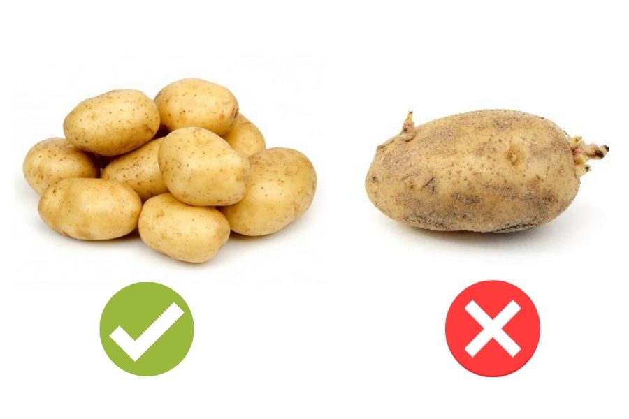 cách chọn khoai tây dựa vào hình dáng