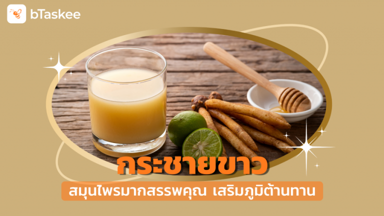 กระชายขาว