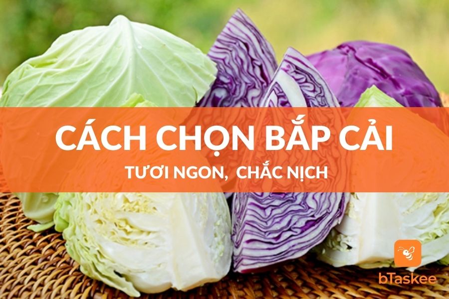 cach-chon-bap-cai-tuoi-ngon