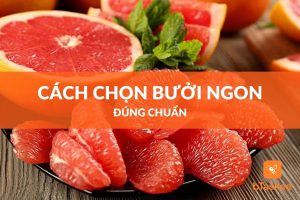 cach-chon-buoi-ngon