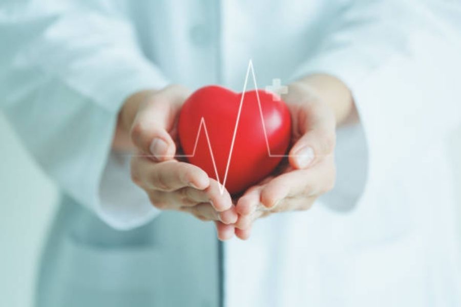 Mận và mận khô có tác dụng bảo vệ sức khỏe tim mạch