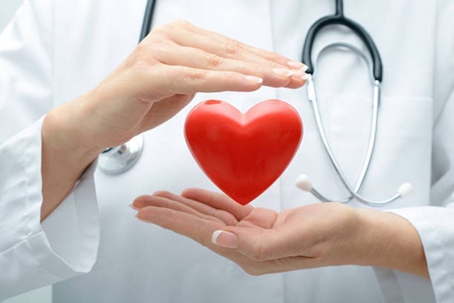 phúc bồn tử giúp bảo vệ sức khỏe tim mạch