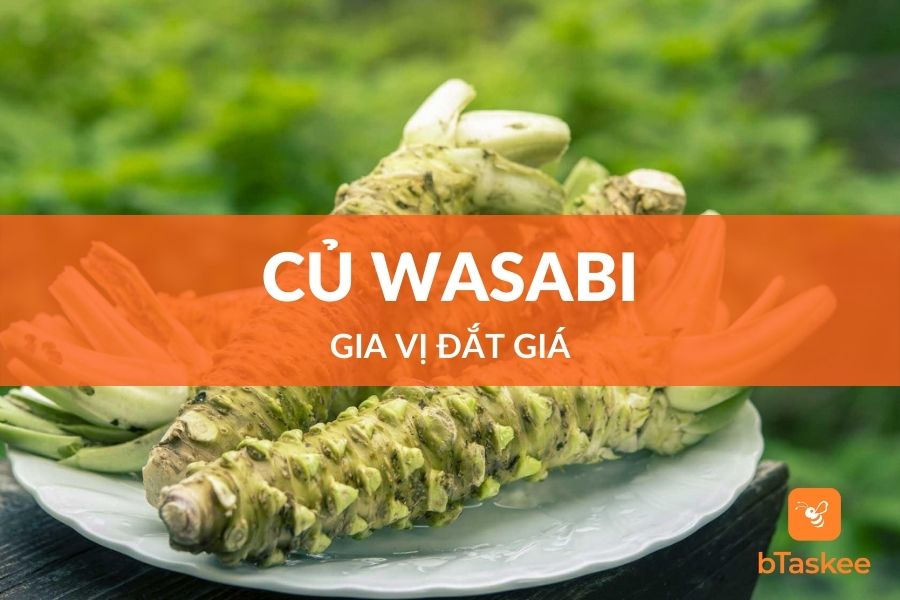 Củ wasabi tại sao giá lại đắt như vậy