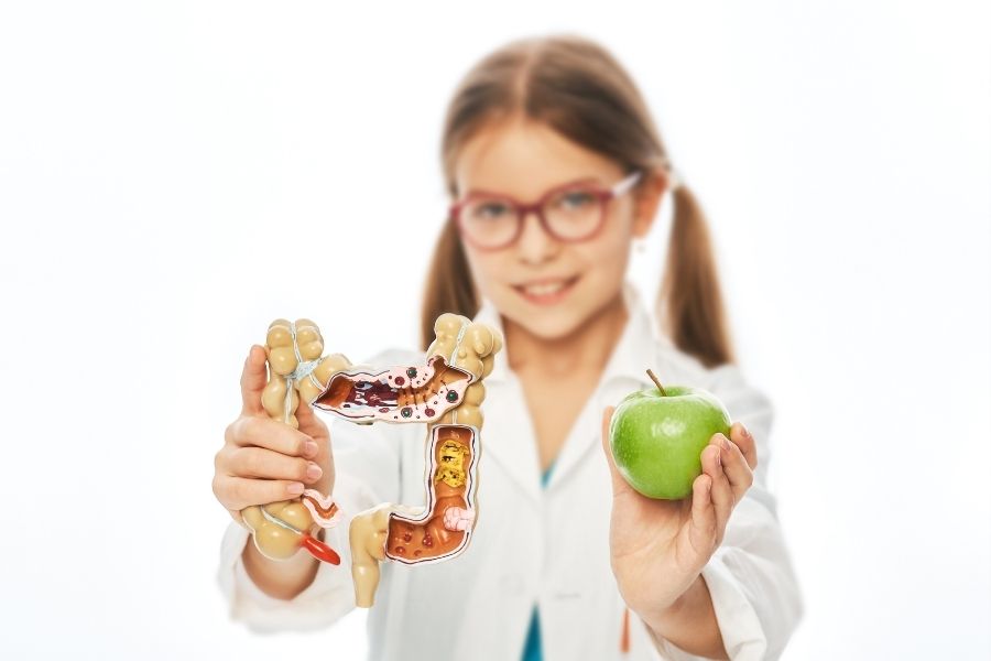 Ăn táo giúp thúc đẩy vi khuẩn có lợi ở đường ruột