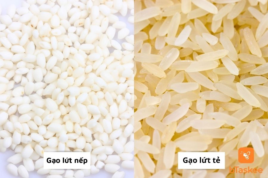 Gạo lứt có 2 chất gạo, gạo lứt nếp và gạo lứt tẻ