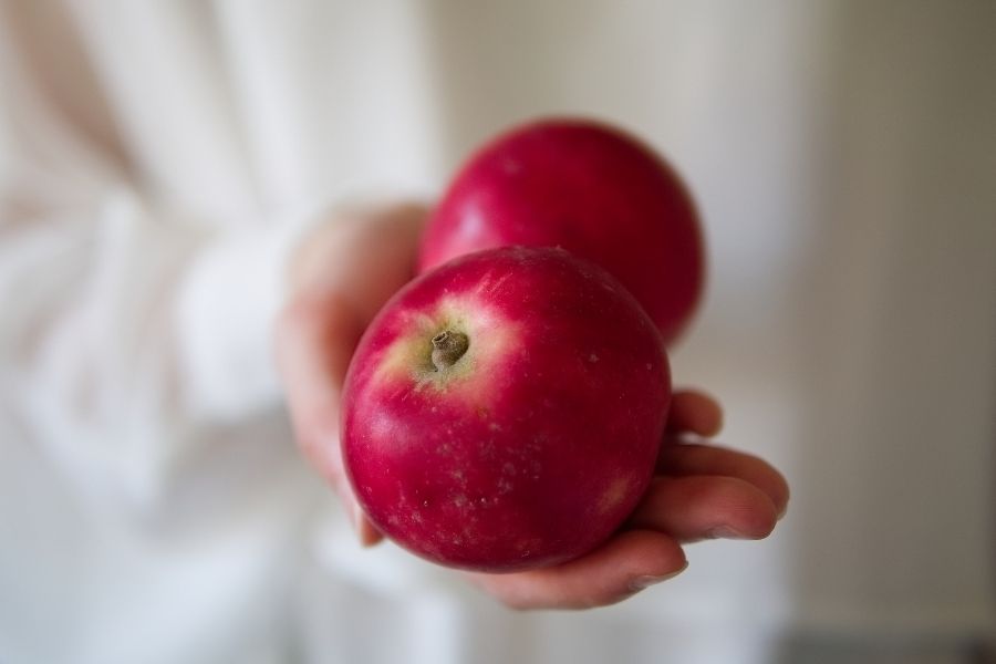 Hai quả táo mỗi ngày giúp cơ thể khỏe mạnh