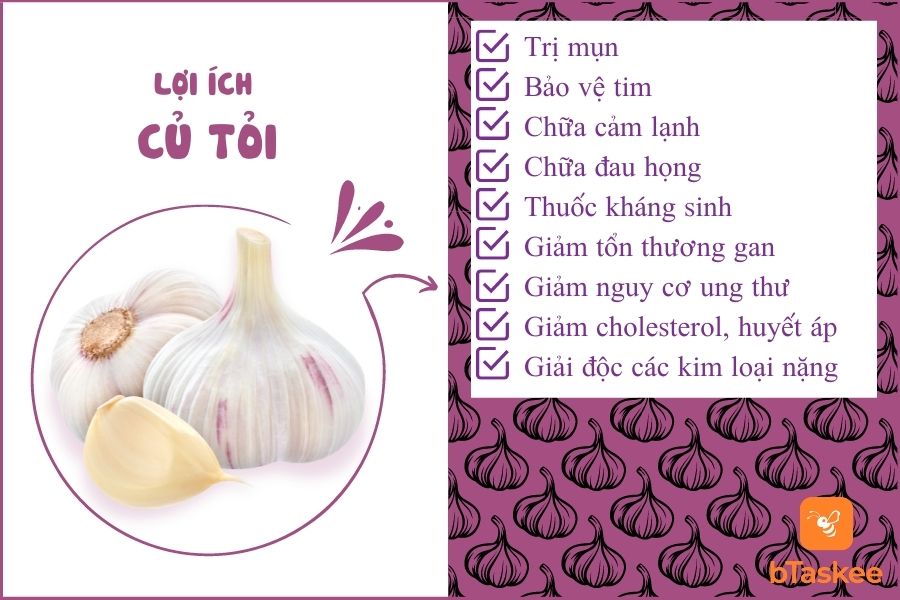 Củ tỏi mang nhiều lợi ích sức khỏe