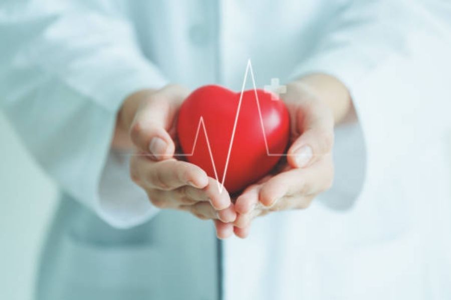 Hạt mắc ca có thể làm giảm nguy cơ mắc bệnh tim