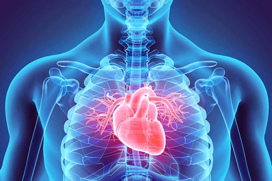Cường giáp gây ra nhiều biến chứng về tim mạch