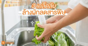 AW011_ล้างผัก02-update