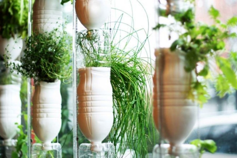 Ý tưởng trồng rau bằng chai nước khoáng treo trên của sổ