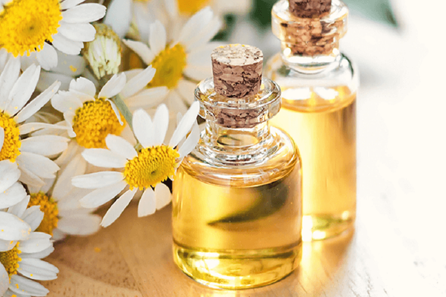 Tinh dầu hoa cúc thường được sử dụng trong massage