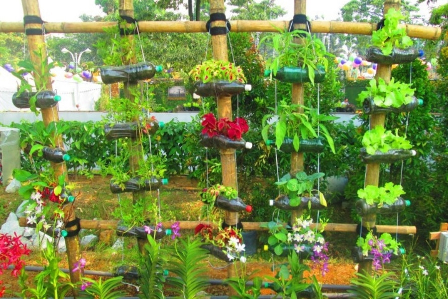 Làm vườn đứng từ những chậu hoa được làm bằng chai nhựa