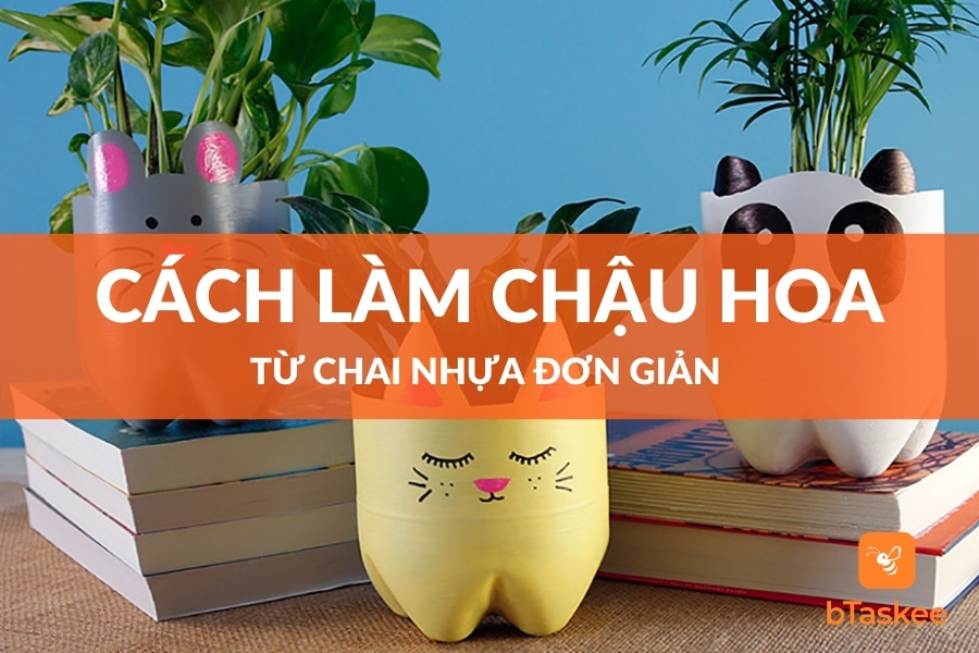 làm chậu