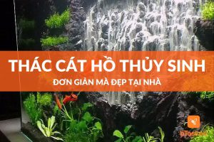 thac-cat-ho-thuy-sinh