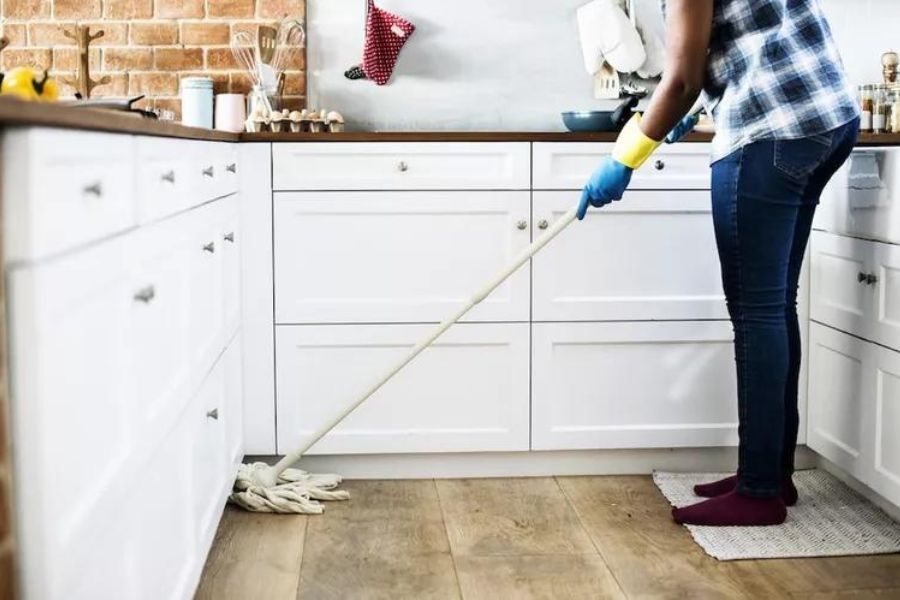 Bạn nên thường xuyên dọn dẹp nhà cửa để rết tránh xa nhà của bạn