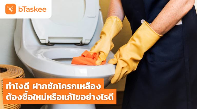 ฝาชักโครกเหลือง เปลี่ยนฝาชักโครก ฝาชักโครกขึ้นรา ล้างฝาชักโครก