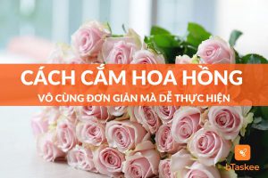 cách cắm hoa hồng đơn giản mà dễ thực hiện