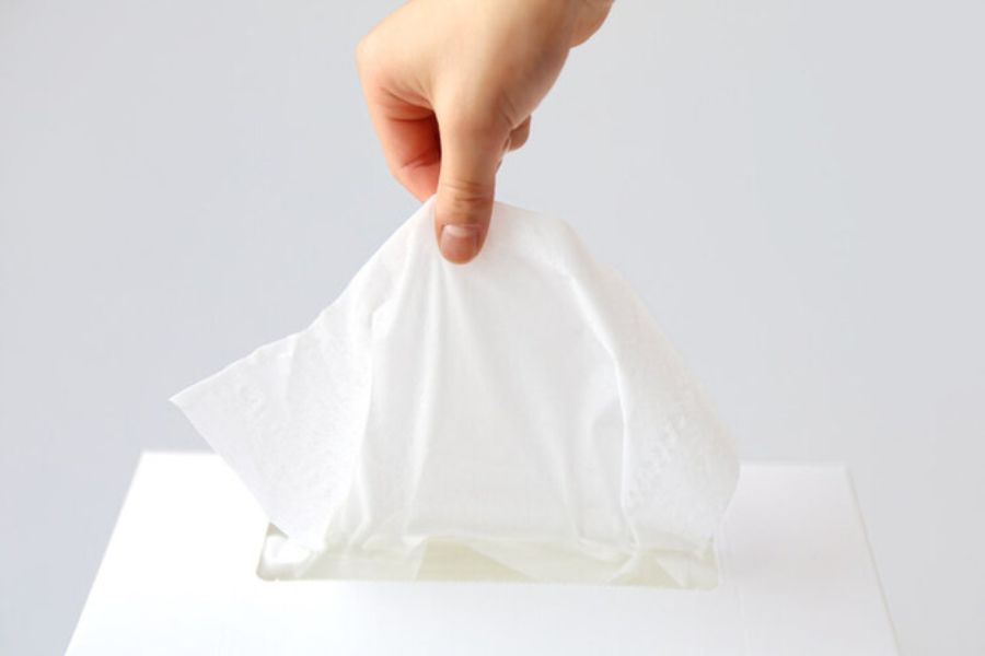 Dùng khăn giấy để làm khô nước tiểu chó