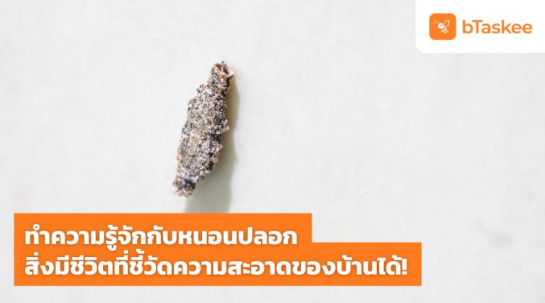 หนอนปลอก