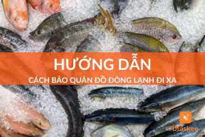 cách bảo quản đồ đông lạnh đi xa