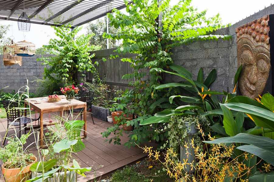 Trang trí sân thượng thành vườn trồng rau