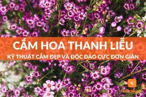Cách cắm hoa thanh liễu đẹp