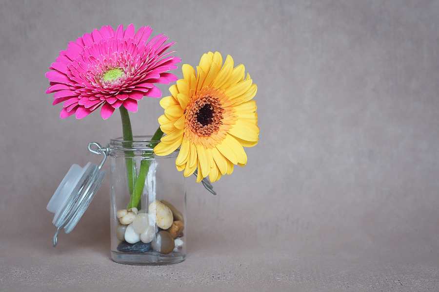 Nhanh chóng ngâm phần gốc hoa từ 5- 10 phút
