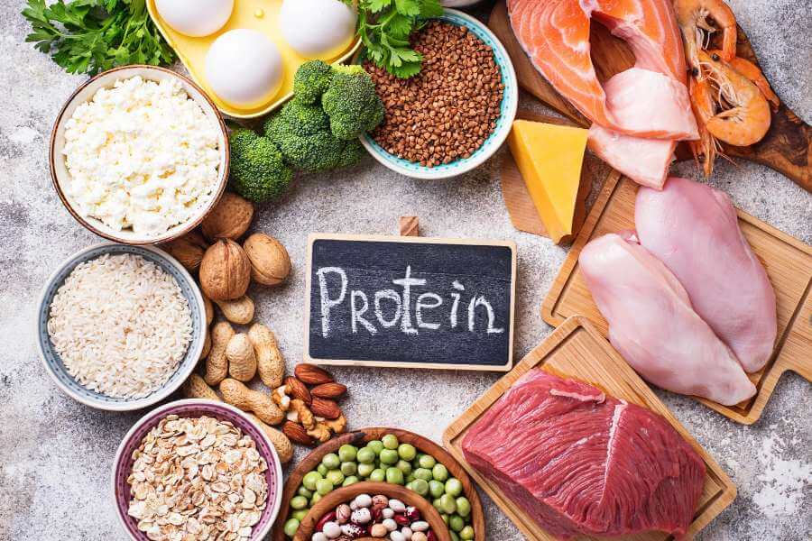 Cần chú ý đến hàm lượng protein ﻿