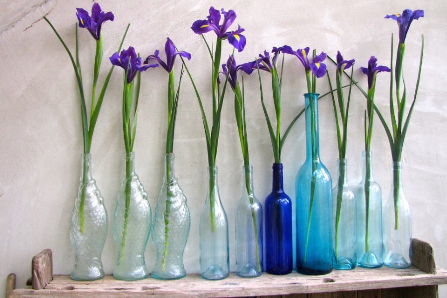 Trang trí các lọ hoa bằng những chai thủy tinh
