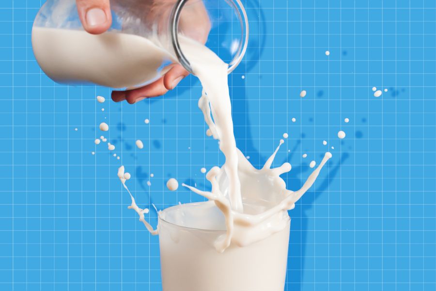 Uống sữa hàng ngày