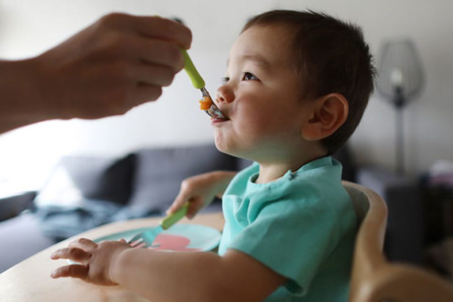 Hãy đảm bảo thức ăn cho trẻ có đủ các chất cơ bản
