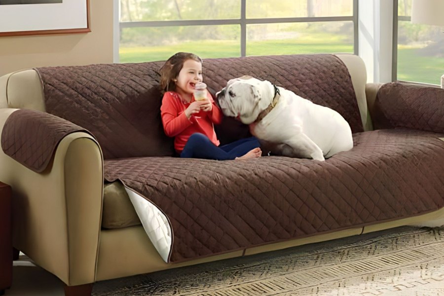 Mùi của thú cưng là một trong những nguyên nhân gây ra mùi hôi trên ghế sofa