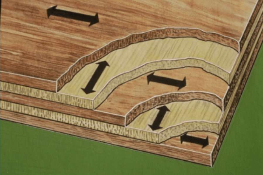 Cấu tạo của gỗ Plywood bao gồm bề mặt gỗ, ruột gỗ và lớp keo bên ngoài