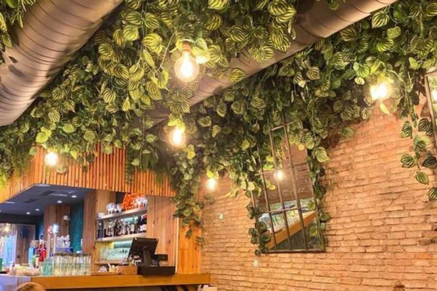 Trang trí cây xanh trên trần quán cafe tạo sự mát mẻ, thư thái