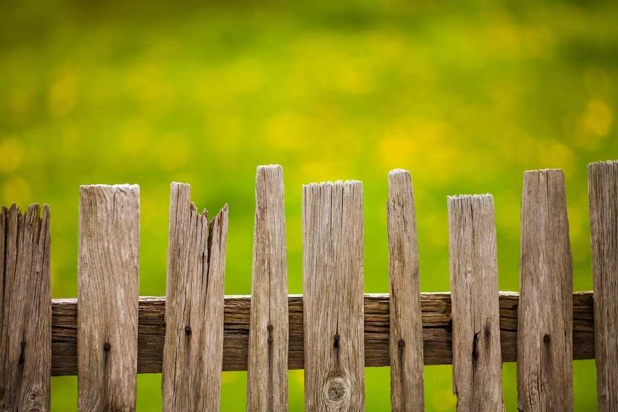 Hàng rào đẹp nhà cấp 4 bằng gỗ