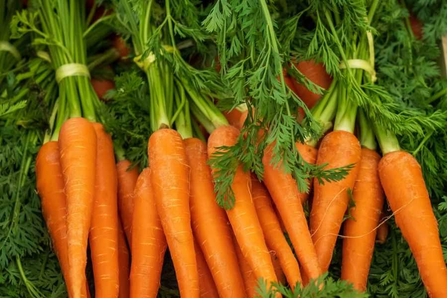 Bổ sung cà rốt vào thực đơn ăn dặm cho bé 10 tháng giúp bé mắt sáng