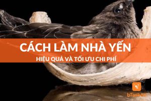 Cách làm nhà yến hiệu quả và tối ưu chi phí nhất