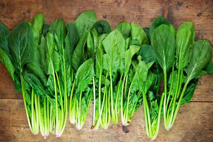 Bạn có thể tự trồng cải bó xôi tại nhà để đảm bảo nguồn rau sạch